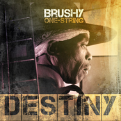 Brushy One String: Destiny