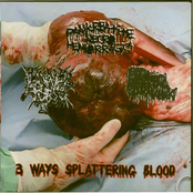 3-Way Splattering Blood