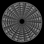 The Best Light Is The Last Light