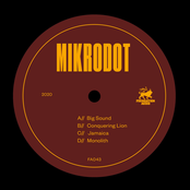 Mikrodot: Big Sound