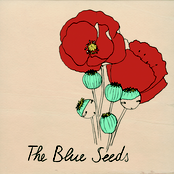 Where Did You Go by The Blue Seeds