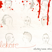 Voluntary Human Extinction