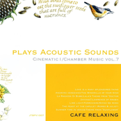 Plays Acoustic Sounds: Cinematic I, Chamber Music, Vol. 7