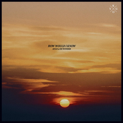 How Would I Know - Single