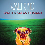 Walter Salas-Humara: Walterio