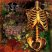 Anal Supersonic Sex / Binaash / Flavoured Brain / Dog Faced Corpse