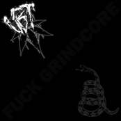 Fuck Grindcore