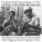 Living Country Blues USA, Vol. 7 - Afro-American Blues Roots