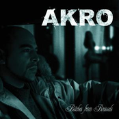 Bitches From Brussels