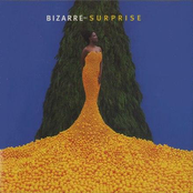 Surprise by Bizarre Inc.