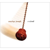 Martyn Joseph: Evolved