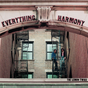 The Lemon Twigs: Everything Harmony