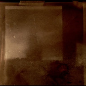 A Vast Regressive State