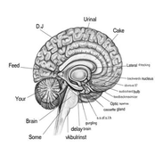 Feed Your Brain Some