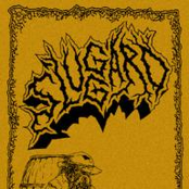 Sluggard