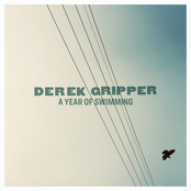 Derek Gripper: A Year of Swimming