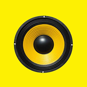 Bass Testing