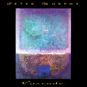 Peter Murphy: Cascade