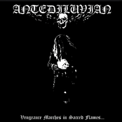 Vengeance Marches in Sacred Flames...