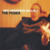 Lady Friend by The Posies