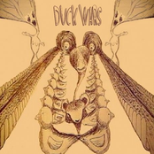 Duck Wars