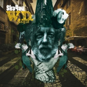 W.D. (Single)