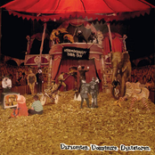 Dirigenten. Dompteure. Diktatoren