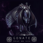 Gonate