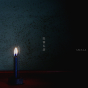 In Praise of Shadows