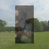 Disinterest In Growing Wings