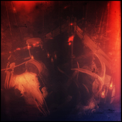 PULL ME TOWARD THE DARK