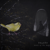 Roots of the Kingdom