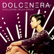 A Un Passo Dalla Felicità by Dolcenera