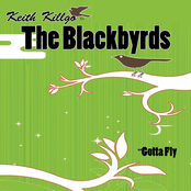 I Can Feel It by The Blackbyrds