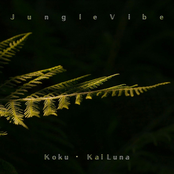 Jungle Vibe