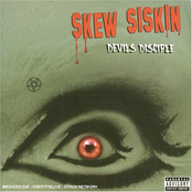 If The Walls Could Talk by Skew Siskin