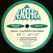 Groovepeel by Neil Landstrumm