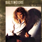 There's No Danger on the Roof