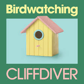 Cliffdiver: birdwatching