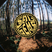 Standing With the Sun//Under the Palms