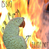 IF / IF / NOT - EP