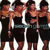 Groove Of Midnight by Siedah Garrett