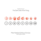 The Evolution of the Dark Side of the Moog