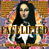 Facelifted • A Tribute To The Establishment Vol. 1