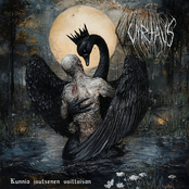 Kunnia joutsenen voittoisan