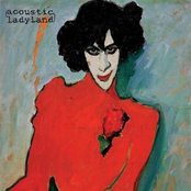 New Me by Acoustic Ladyland