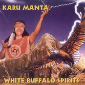 White Buffalo by Karu Manta
