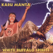 White Buffalo Spirits