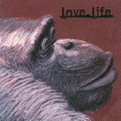 Love.Life Compilation