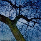 nueve escenas de amor